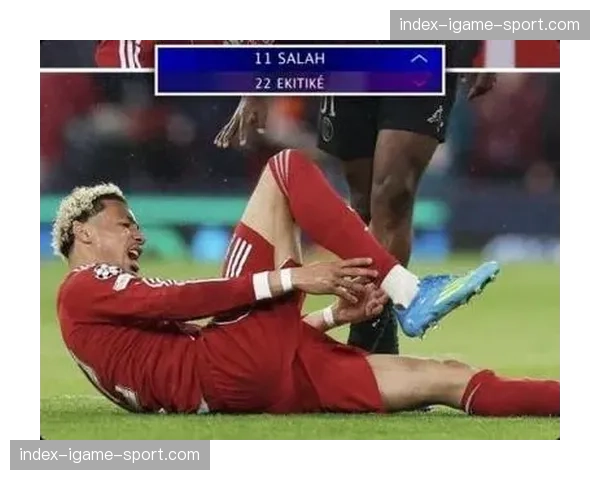 安菲尔德成伤兵营，利物浦新援埃基蒂克无对抗情况下伤退